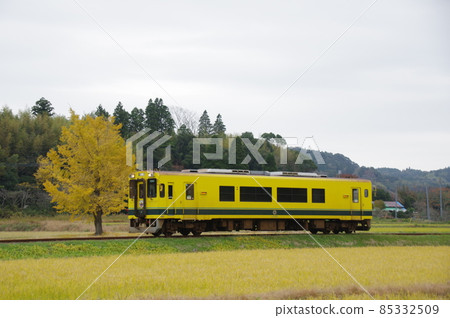 Isumi Railway Ginkgo and Shrine and Isumi 301 85332509