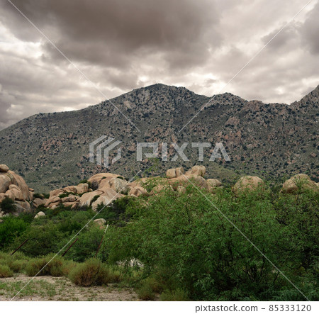 Texas Canyon Sonora Desert Arizona Texas Canyon Sonora Desert Arizona 85333120