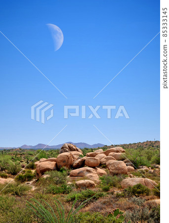 Sonora Desert Moon 85333145