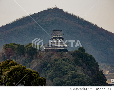 Japanese beauty Inuyama Castle Japanese beauty Inuyama Castle 85333254