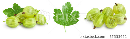 Green gooseberry isolated on white background. Set or collection Green gooseberry isolated on white background. Set or collection 85333631