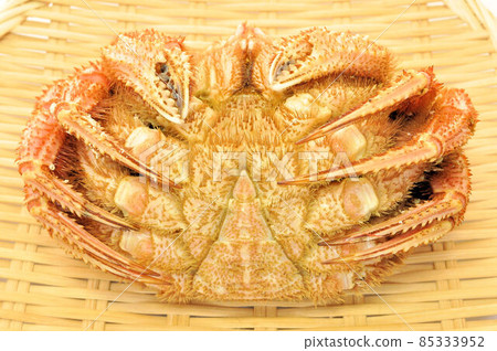 Horsehair crab on a colander 85333952