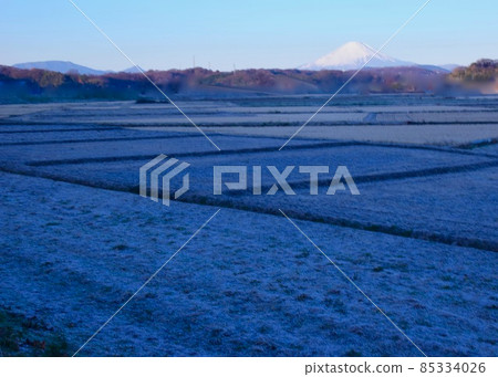 The dawn of the cold weather, the frozen land The dawn of the cold weather, the frozen land 85334026