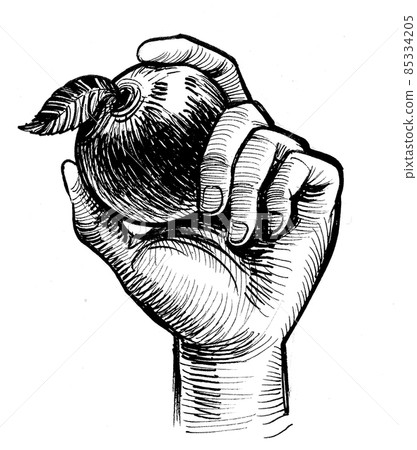 Hand holding apple. ink black and white drawing Hand holding apple. ink black and white drawing 85334205