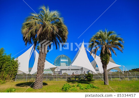 Tokyo Edogawa Ward Kasai Rinkai Park Kasai Rinkai Aquarium Tokyo Edogawa Ward Kasai Rinkai Park Kasai Rinkai Aquarium 85334457