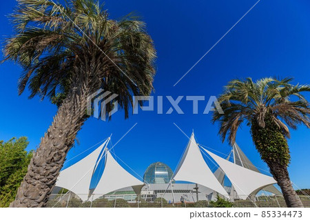 Tokyo Edogawa Ward Kasai Rinkai Park Kasai Rinkai Aquarium 85334473