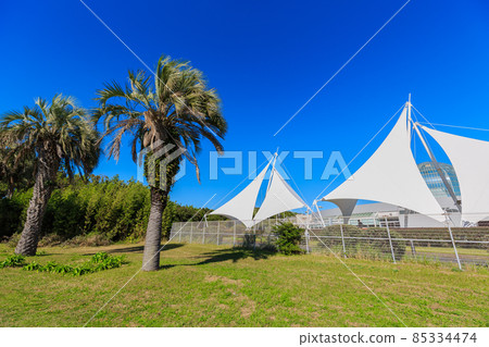 Tokyo Edogawa Ward Kasai Rinkai Park Kasai Rinkai Aquarium Tokyo Edogawa Ward Kasai Rinkai Park Kasai Rinkai Aquarium 85334474