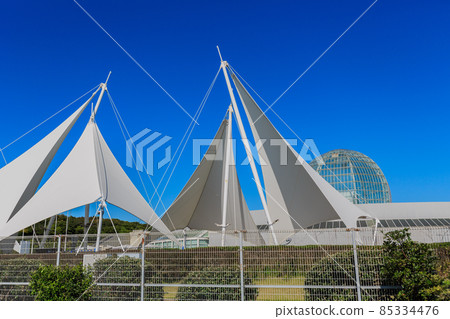 Tokyo Edogawa Ward Kasai Rinkai Park Kasai Rinkai Aquarium 85334476