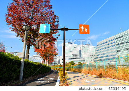 Overlooking the Tsudoi Bridge / Symbol Promenade Park (Koto-ku, Tokyo) [2021.12] 85334495