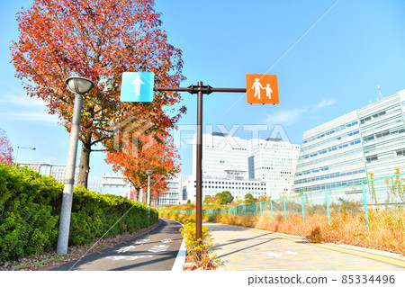 Overlooking the Tsudoi Bridge / Symbol Promenade Park (Koto-ku, Tokyo) [2021.12] 85334496