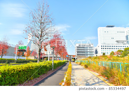 遠眺津堂橋/象徵長廊公園（東京都江東區） [2021.12] 85334497