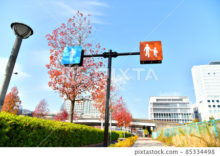 Overlooking the Tsudoi Bridge / Symbol Promenade Park (Koto-ku, Tokyo) [2021.12] 85334498