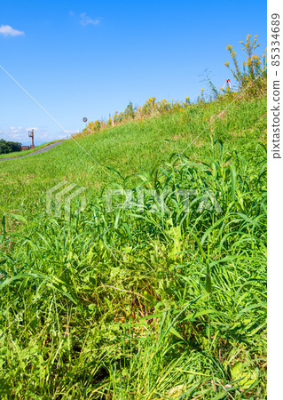 Near Tone Ozeki, the bank of the Tone River, the scenery of early autumn 85334689