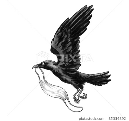 Raven bird carrying medical mask. ink black and white drawing Raven bird carrying medical mask. ink black and white drawing 85334892