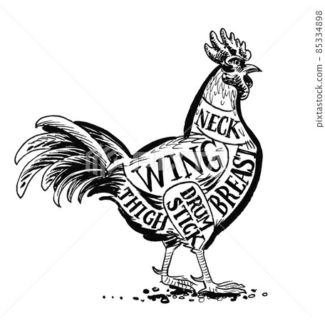 Chicken butcher's chart. ink black and white drawing Chicken butcher's chart. ink black and white drawing 85334898