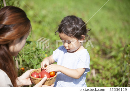 父母和孩子們享受廚房花園 父母和孩子們享受廚房花園 85336129