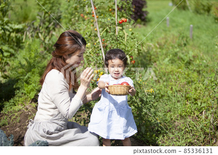 Parents and children enjoying a kitchen garden Parents and children enjoying a kitchen garden 85336131
