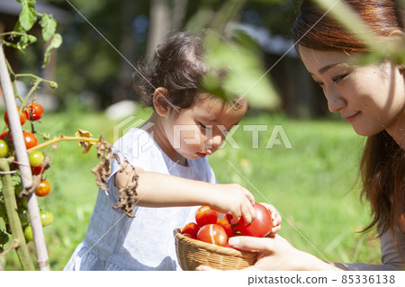 父母和孩子們享受廚房花園 85336138