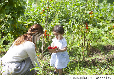 Parents and children enjoying a kitchen garden 85336139