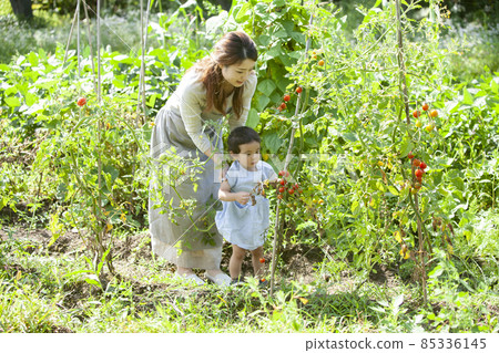 父母和孩子們享受廚房花園 85336145