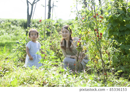 Parents and children enjoying a kitchen garden 85336153