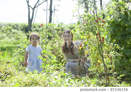 父母和孩子們享受廚房花園 85336156