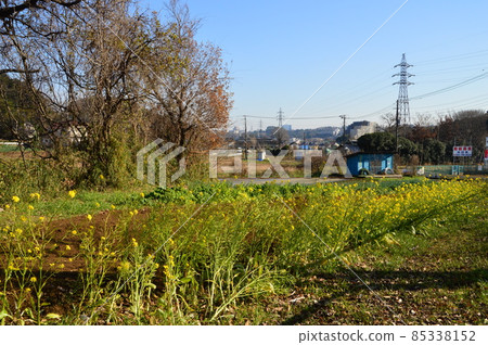 Hachioji Horinouchi's Satoyama autumn looks like this 85338152