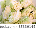 Cabbage (cut) 85339145