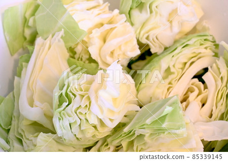 捲心菜（切） 85339145