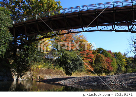 At Kinchakuda, Hidaka City in autumn colors (Aiai Bridge) 85339171