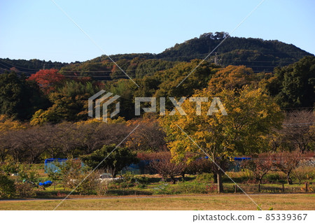 Kinchakuda and fields with deepening autumn colors (Hidaka City, Saitama Prefecture) Kinchakuda and fields with deepening autumn colors (Hidaka City, Saitama Prefecture) 85339367