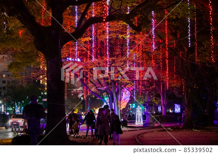 It is the scenery of the Hiroshima Dreamination Festival. It is an illumination festival. It is the scenery of the Hiroshima Dreamination Festival. It is an illumination festival. 85339502