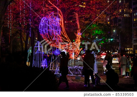 It is the scenery of the Hiroshima Dreamination Festival. It is an illumination festival. It is the scenery of the Hiroshima Dreamination Festival. It is an illumination festival. 85339503