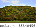 初秋 85340456