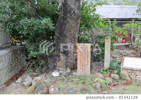 Kumadoma's Kubadesa(船浮村) Kumadoma's Kubadesa(船浮村) 85342139