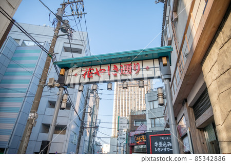 Asakusa Hanayashiki 85342886