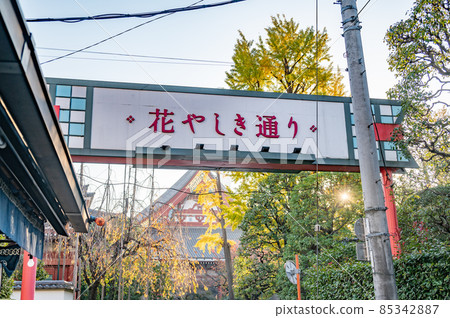 Asakusa Hanayashiki 85342887