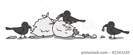 Three crows breaking a trash bag and cluttering 85343285