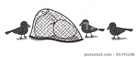 Three crows looking at the trash in front of the trash net 85343286