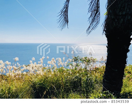 宮崎縣觀光景點日向岬美麗的大海治癒了 85343539