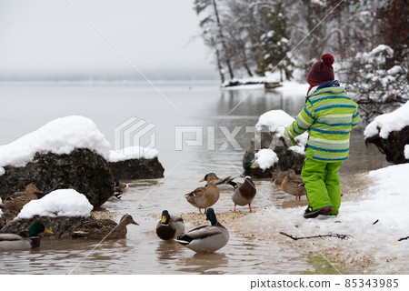 Toddler child in green winter suit feeding the ducks in a lake 85343985