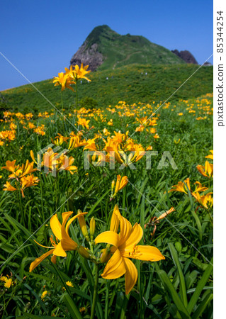 [Niigata Prefecture] Sado City Hanashima Onogame licorice community 85344254