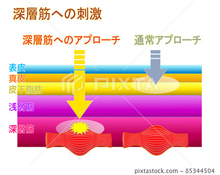 Homepage for treatment clinic Explanation material 43 85344504