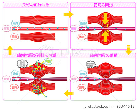 Comparison of blood circulation status 2 85344515