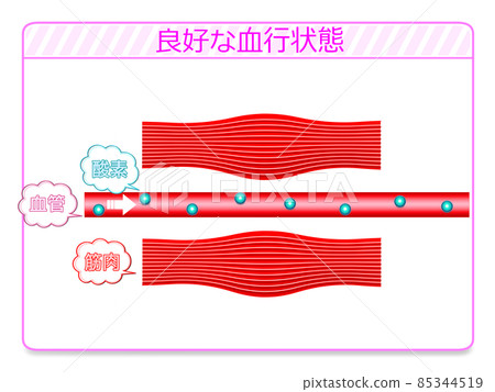 良好的血液循環 3 良好的血液循環 3 85344519