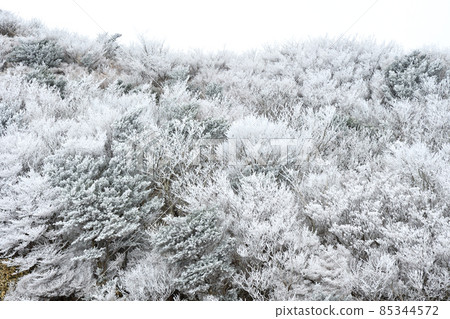 Unzen Myokendake rime Unzen Myokendake rime 85344572