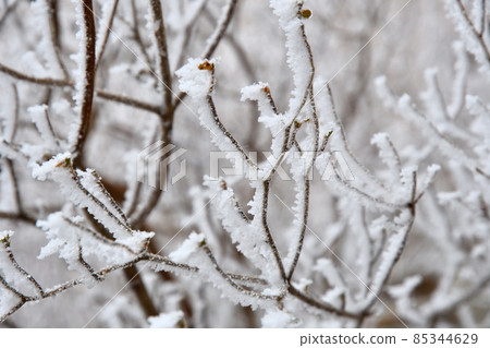 Unzen Myokendake rime 85344629