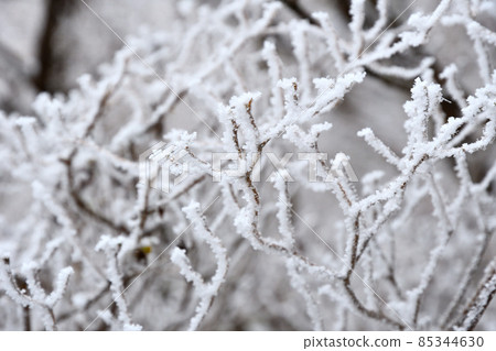 Unzen Myokendake rime 85344630