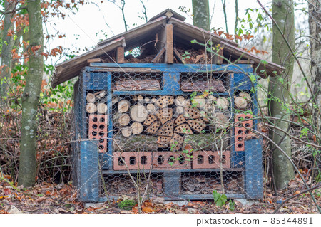 Logs to attract insects, at Reddish Vale Country park, Stockport, UK. Logs to attract insects, at Reddish Vale Country park, Stockport, UK. 85344891