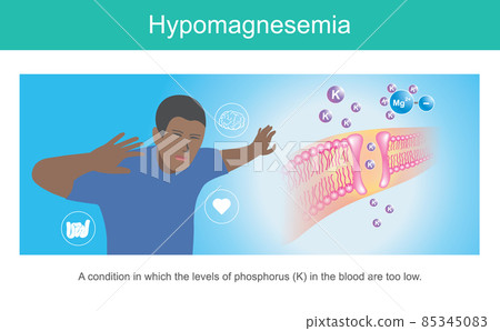 blood, kidney, vector 85345083
